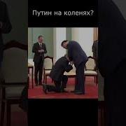 Поет Француз Клип Фигуры Шахматы