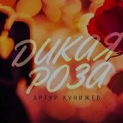 Песня Дикая Роза