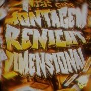 Montagem Renicht Dimensional