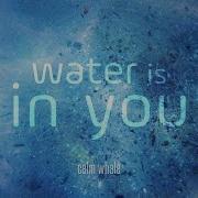 Water Is In You