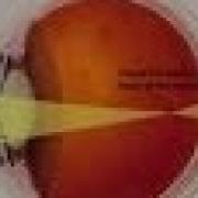 Скибиди Толчок Прячется В Туалете
