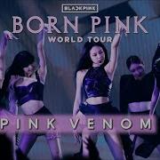 Pink Venom Blackpink Born Pink Tour Band Studio