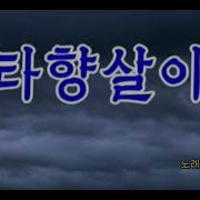 김송미노래모음