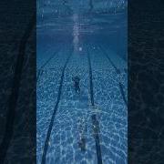 Swimming Pool Made Leone Sped Up
