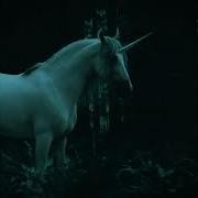 Unicorn Heads Dreaming Rustic Extended Edit