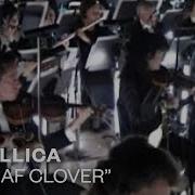 No Leaf Clover S M Live