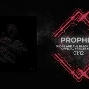Prophet Martin Wave