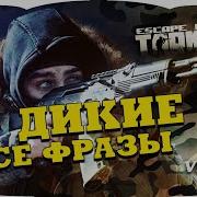 Tarkov Короткие Фразы