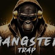 Trapp Gangsta Rap