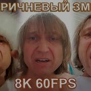 Коричневый Змей Игорь Вихорьков 8K 60Fps