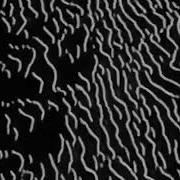 Nedaj Code
