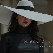 Black Cat Studio