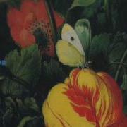 Morphine The Saddest Song
