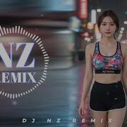 Mini Nonstop V 116 Nz Remix