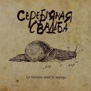 Серебрянная Свадьба Детству Крышка