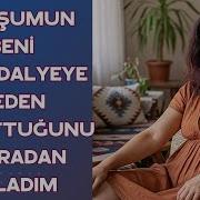 Sex Itiraf