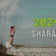 Армянски Шаран 2024