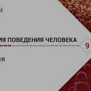 Биология Поведения Человека 9