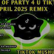 17 Tik Tok Remix