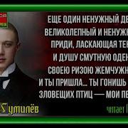 Вечер Николай Гумилев