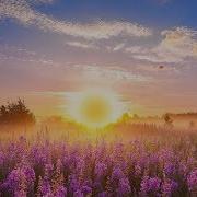 528 Hz Good Morning Music Boost Positive Energy Soothing Beautiful Deep Morning Meditation Music