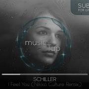 Schiller I Feel You Remix