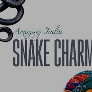 Snake Charmers Volume 1 Audio Jukebox World Music Instrumental