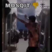 Mosquits Meme