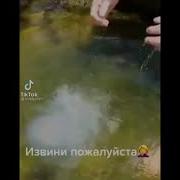 Ой Извини Медуза
