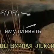 Медоед Мем
