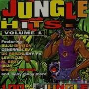 100 Hits Jungle Hits Vol 1