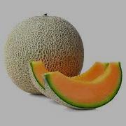 Yahiamice Cantaloupe 1 Hour