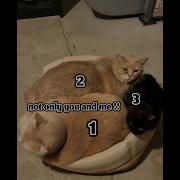 One Two Three Totally You And Me