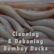 Bombay Duck Cleaning