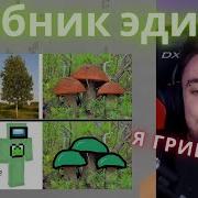 Ты Не Грибочек Ты Дибилëчек