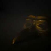 Claptone Feat Peter Bjorn And John Puppet Theatre