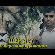 Некруз Мамадамонов 2024