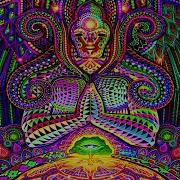 Play Trippy Mane Mir