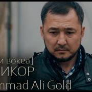 Muhammad Ali Gold Mardikor Мухаммад Али Голд Мардикор