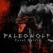 Dark Tribal Music