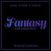 Gael Stone Left And Right Instrumental