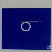 Underworld Album Beaucoup Fish