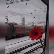 Руслан Ахмадов Безам