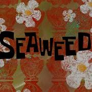 Spongebob Soundtrack Seaweed