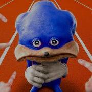 Shin Sonic Roar