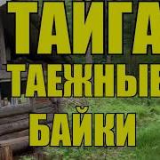 Таежные Байки Рассказы Охотника Тайга 1 Из 2