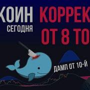 Не Не Нет