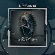 David Navas Skyward Souls
