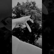 One Two Three Instagram Reels