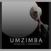 Umzimba